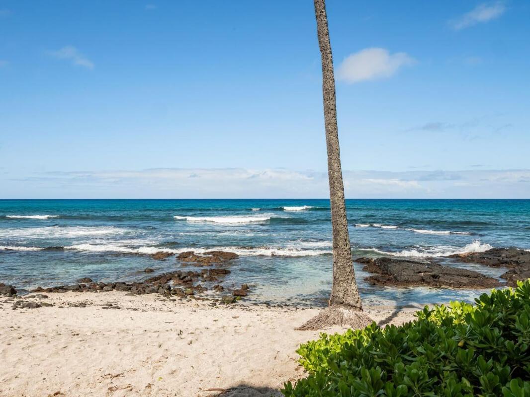 Oceanfront 1 Bedroom 2 Bathroom With Large Lanai - Kona Bali Kai 218 Kailua-Kona Extérieur photo