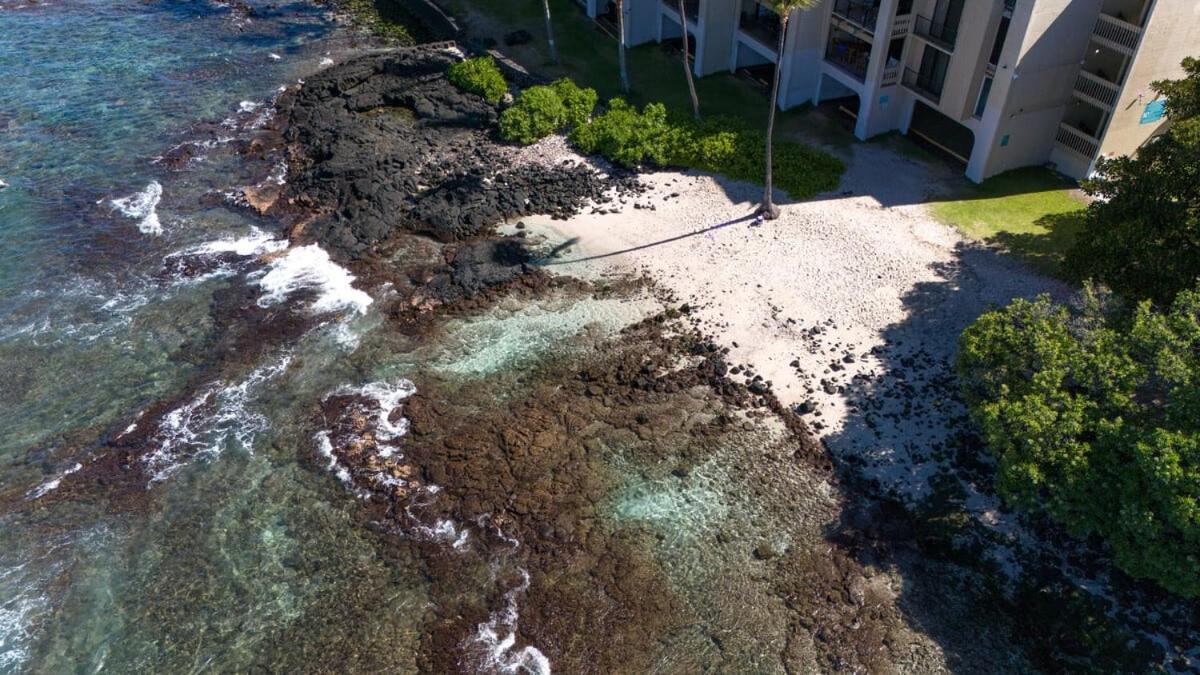 Oceanfront 1 Bedroom 2 Bathroom With Large Lanai - Kona Bali Kai 218 Kailua-Kona Extérieur photo