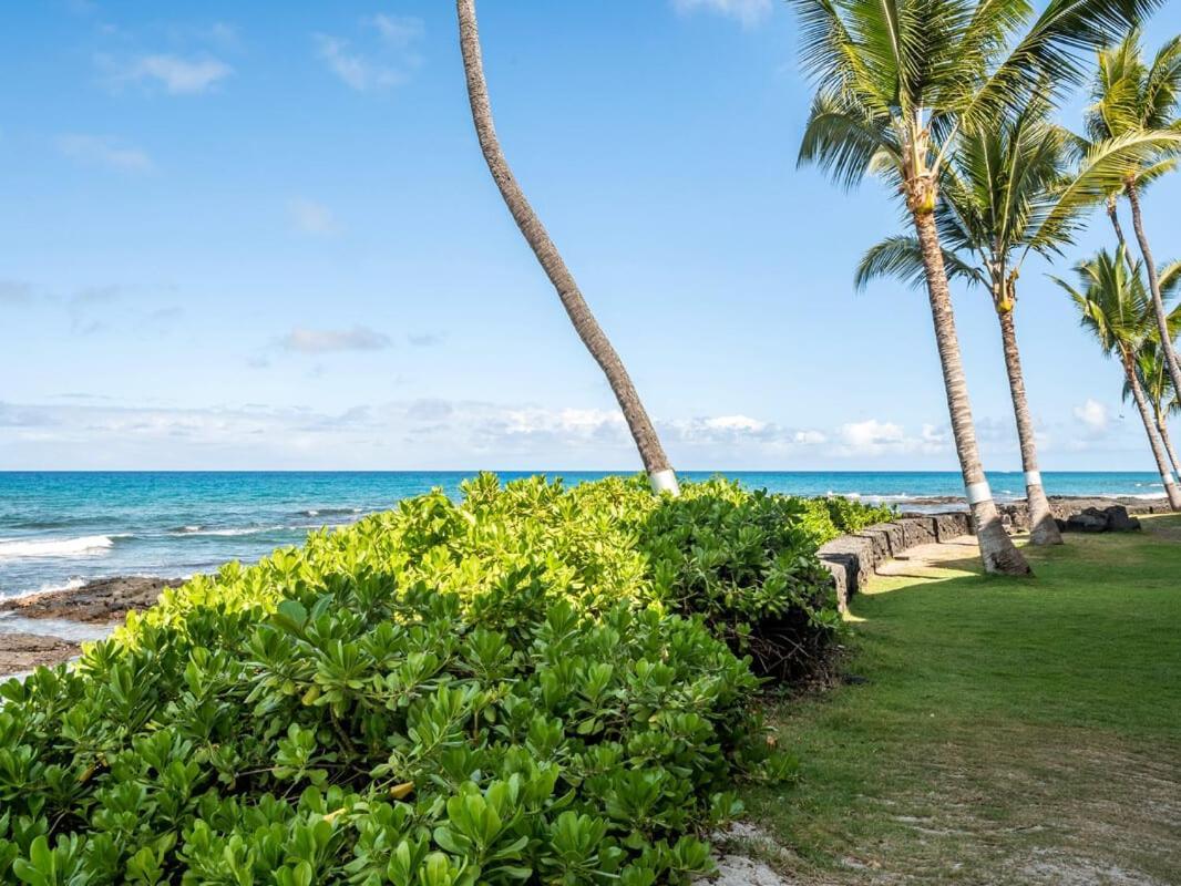 Oceanfront 1 Bedroom 2 Bathroom With Large Lanai - Kona Bali Kai 218 Kailua-Kona Extérieur photo